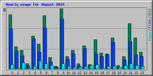 Hourly usage for August 2015